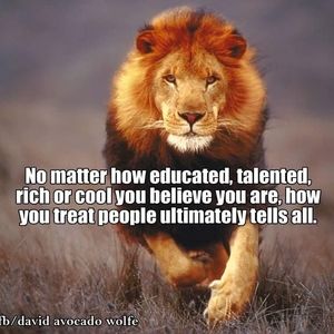 Meet your Posher, Lori